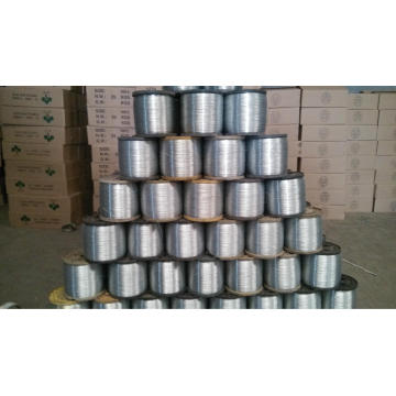 Electro & Hot Dipped Galvanized Iron Wire Factory (W-SPOOL))